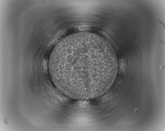 X0000102460667200808291543