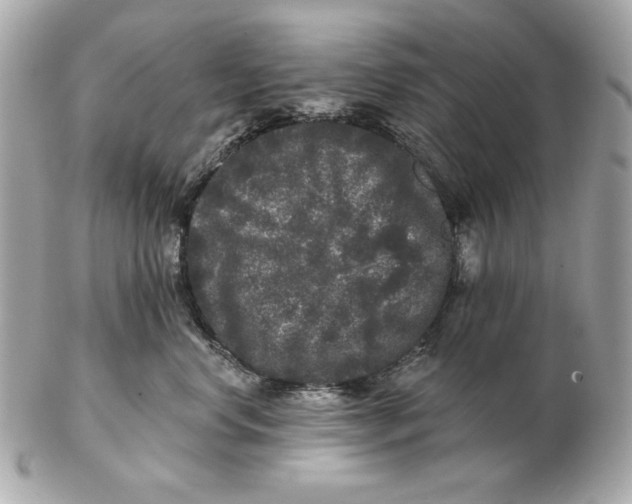 X0000102460668200808291543