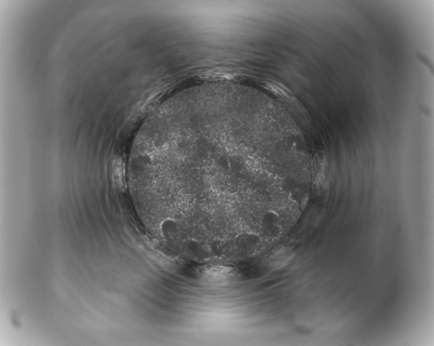 X0000102460669200808291543