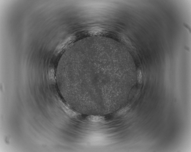 X0000102460670200808291543