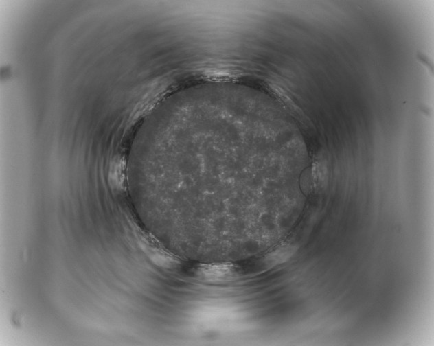 X0000102460671200808291543