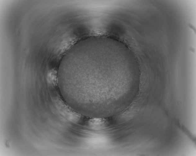 X0000102460672200808291543