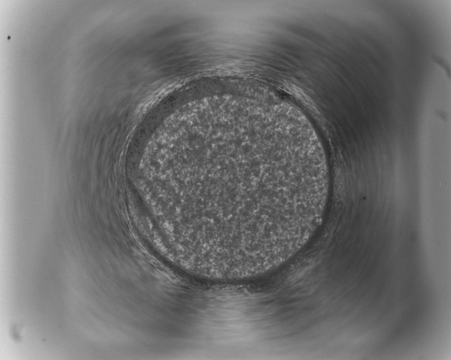 X0000102460673200808291543