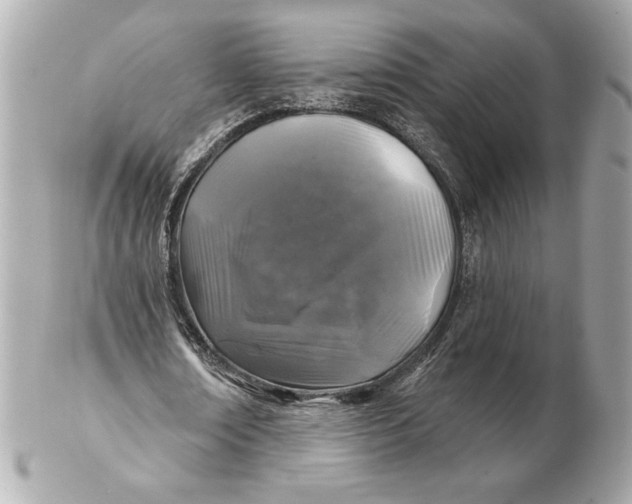 X0000102460674200808291543