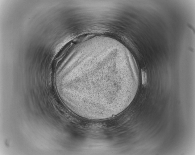 X0000102460675200808291543
