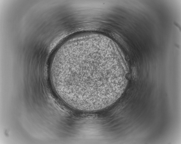 X0000102460676200808291543