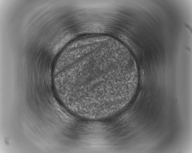 X0000102460677200808291543
