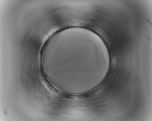 X0000102460678200808291543