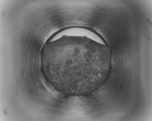 X0000102460679200808291543