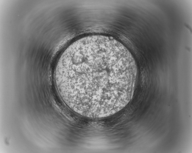 X0000102460680200808291543