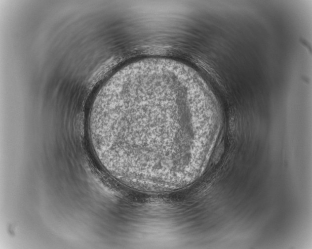 X0000102460682200808291543