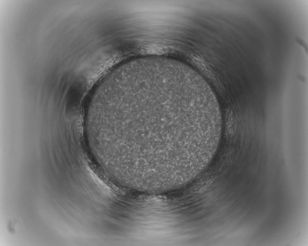 X0000102460683200808291543