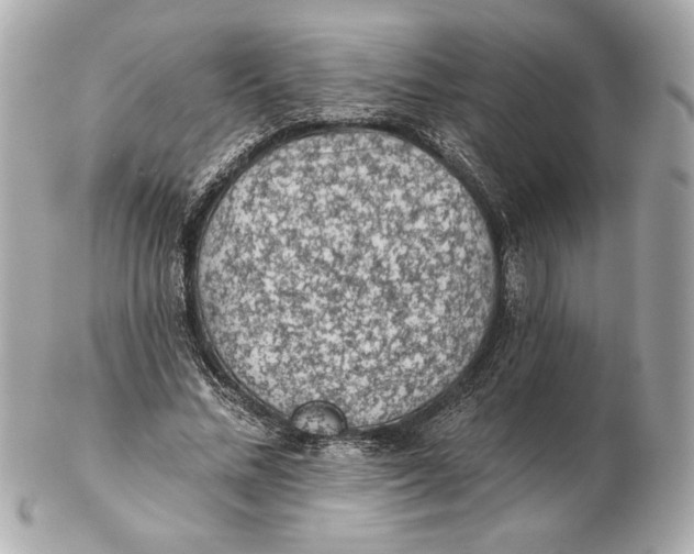 X0000102460684200808291543