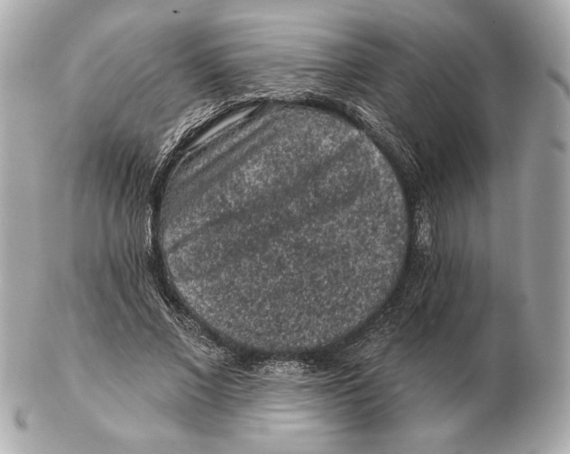 X0000102460685200808291543