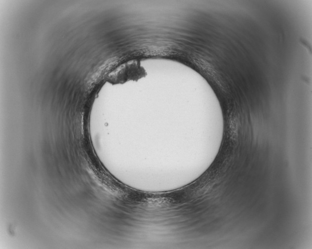X0000102460686200808291542