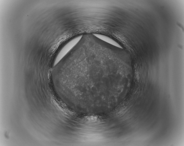 X0000102460687200808291542