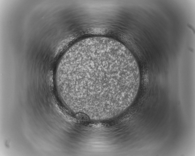 X0000102460688200808291542