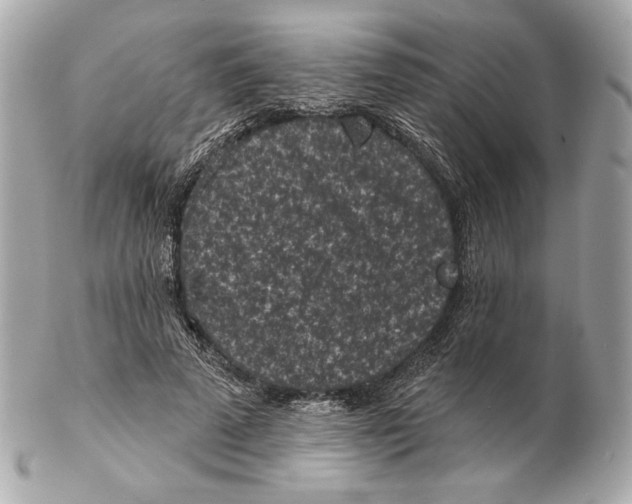 X0000102460689200808291542