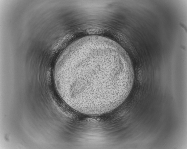 X0000102460690200808291542