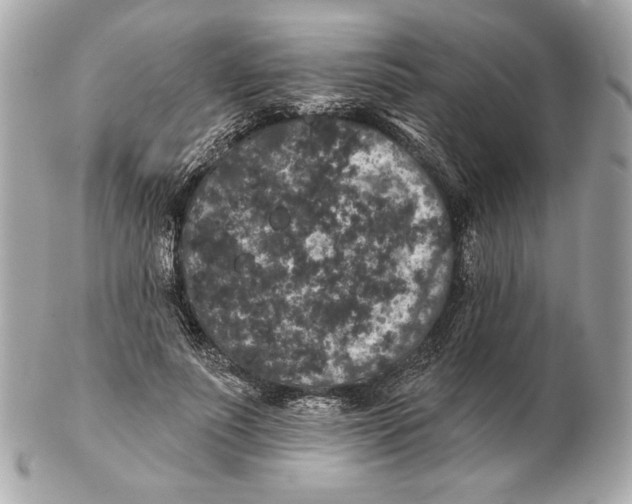 X0000102460691200808291542
