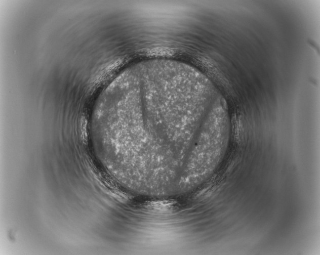 X0000102460692200808291542