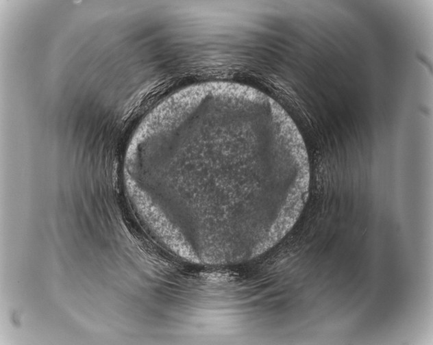 X0000102460693200808291542