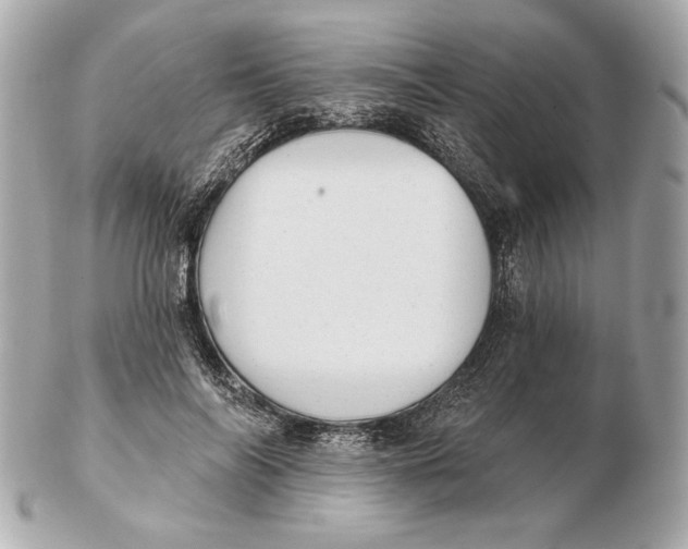 X0000102460694200808291542