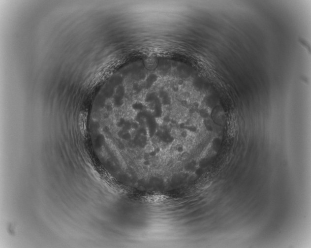 X0000102460695200808291542
