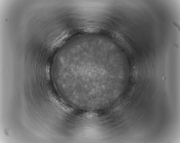 X0000102460696200808291542