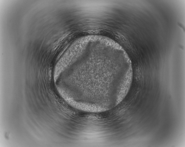 X0000102460697200808291542