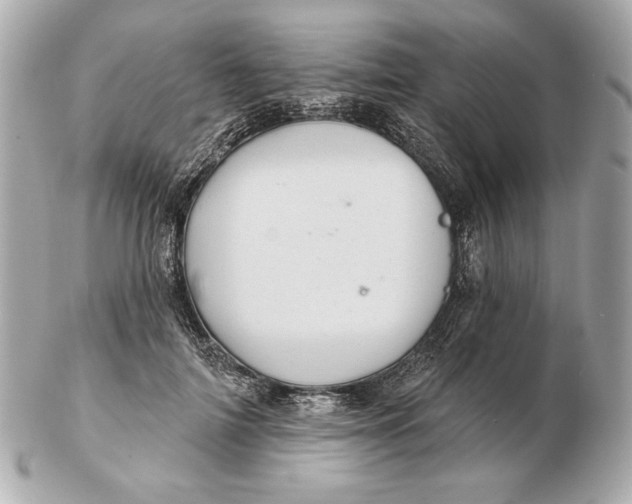 X0000102460698200808291542