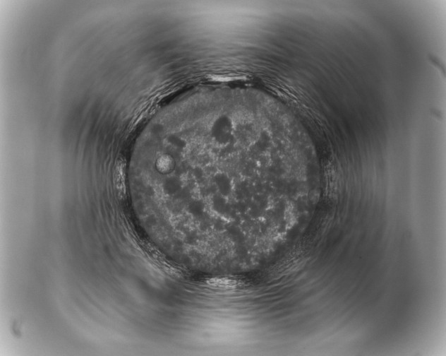 X0000102460699200808291542