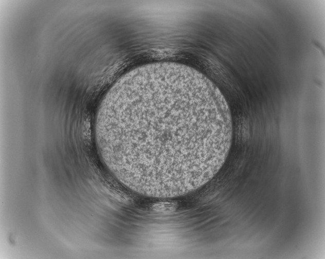 X0000102460700200808291542