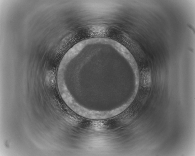 X0000102460701200808291542