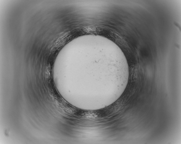 X0000102460702200808291542