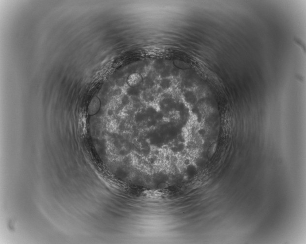 X0000102460703200808291542