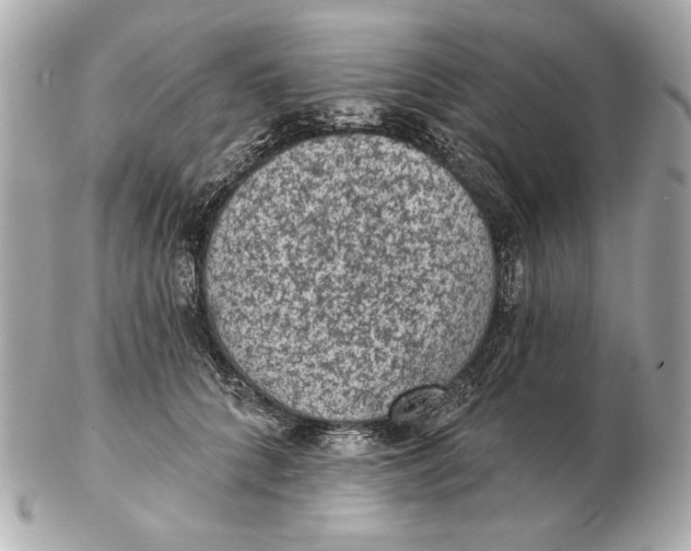 X0000102460704200808291542