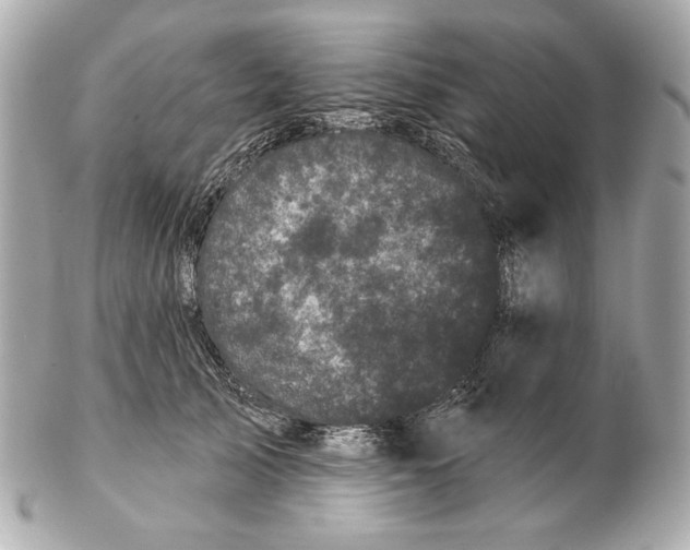X0000102460705200808291542