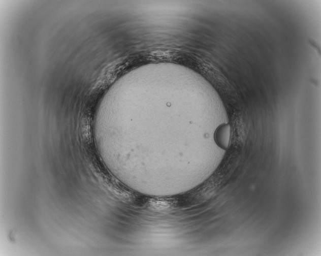 X0000102460706200808291542