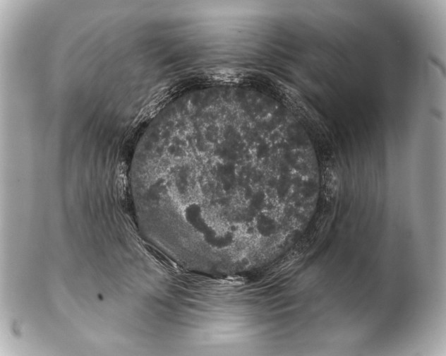 X0000102460707200808291542