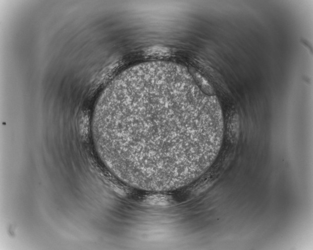 X0000102460708200808291542