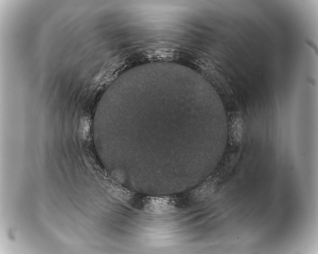 X0000102460709200808291542