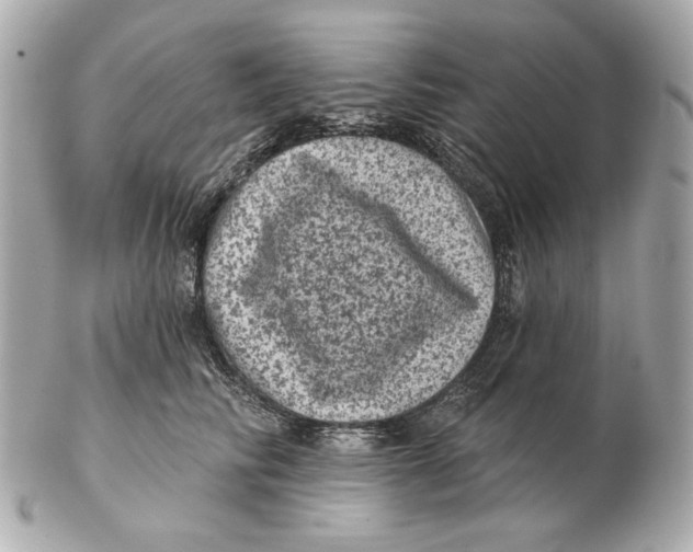 X0000102460710200808291542