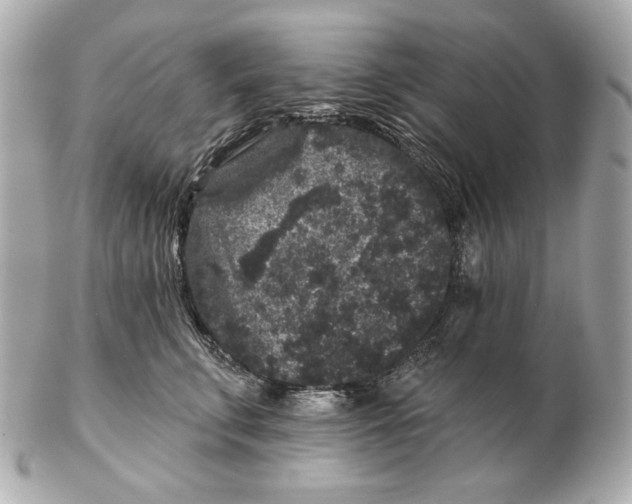 X0000102460711200808291542