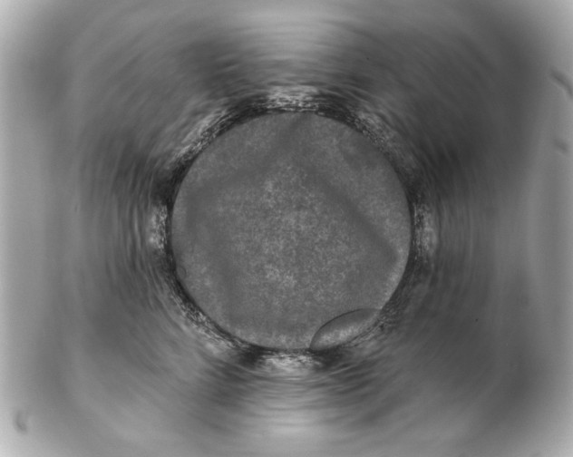 X0000102460712200808291542