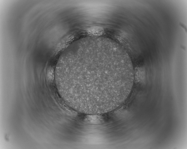 X0000102460713200808291542