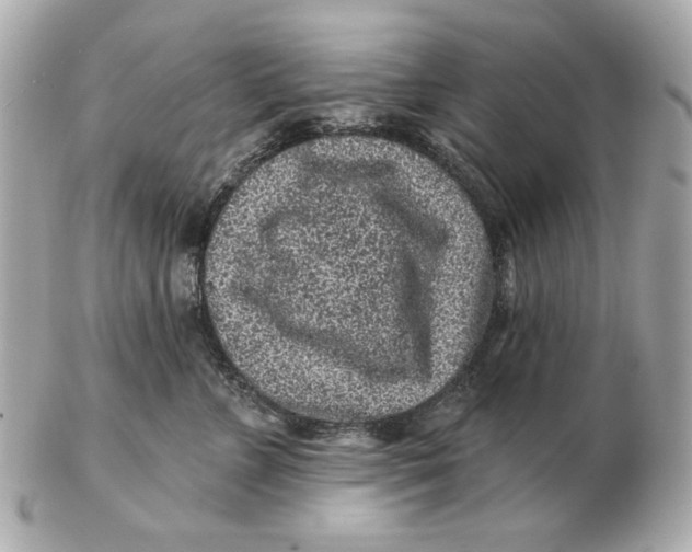 X0000102460715200808291542