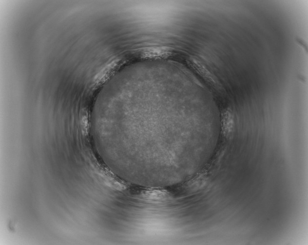 X0000102460716200808291542
