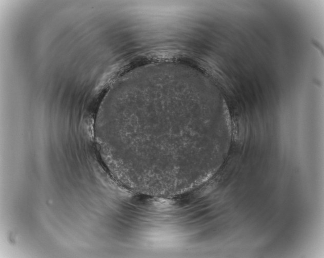 X0000102460718200808291542