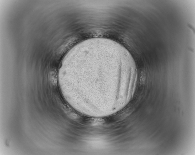 X0000102460719200808291542
